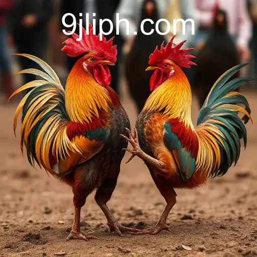 The Intricate World of Cockfighting and Its Cultural Implications